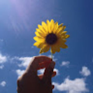 Meet your Posher, Reagan